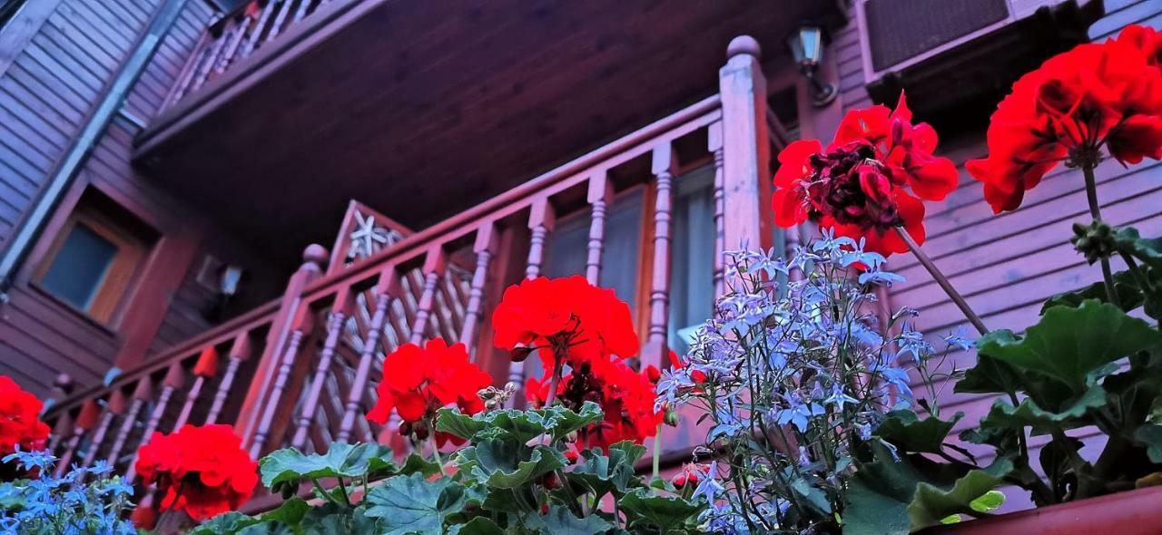 Hotel Albatros Old Town Sozopol Eksteriør billede
